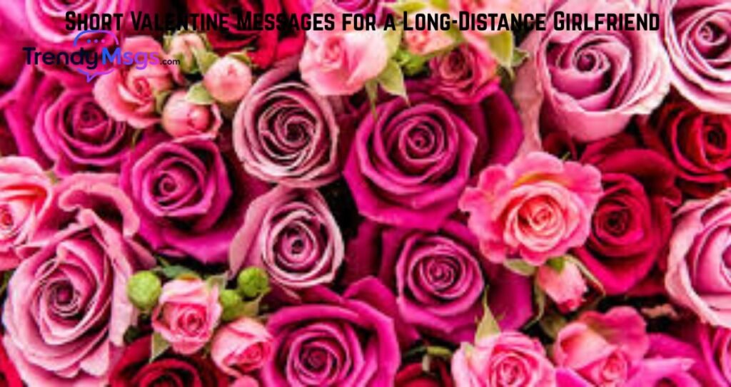 Short Valentine Messages for a Long-Distance Girlfriend