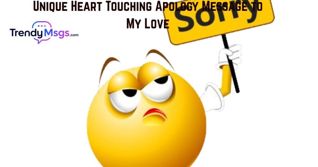 Unique Heart Touching Apology Message to My Love

