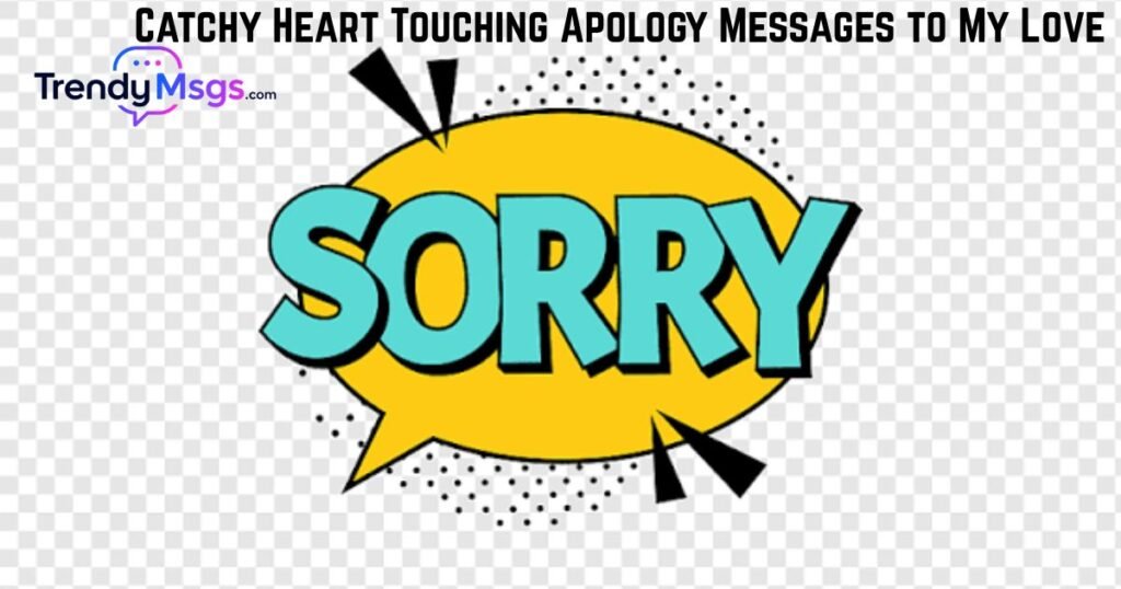 Unique Heart Touching Apology Message to My Love
