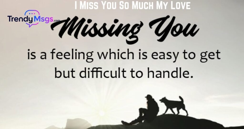 I Miss You So Much My Love